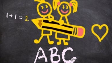 Czy warto wysłać dziecko do szkoły prywatnej? (fot. pixabay.com)