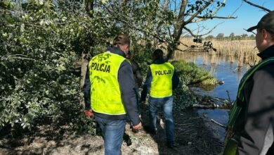 Zniszczyli gwiazda kormoranów. Zginęło kilkaset piskląt/fot.policja.pl