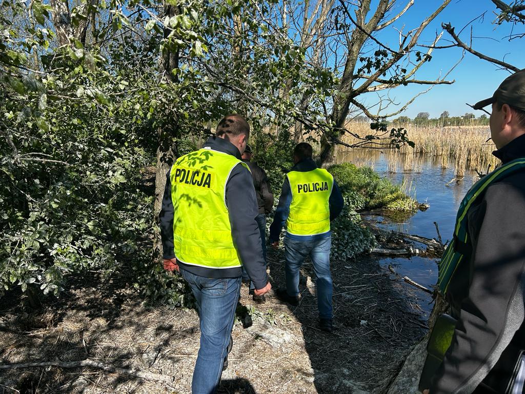 Zniszczyli gwiazda kormoranów. Zginęło kilkaset piskląt/fot.policja.pl