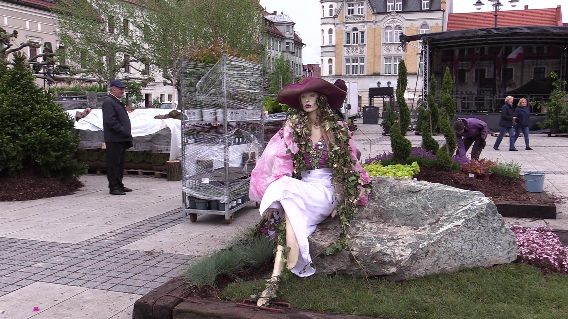 Pszczyna: Daisy Days 2023. Trwają przygotowania