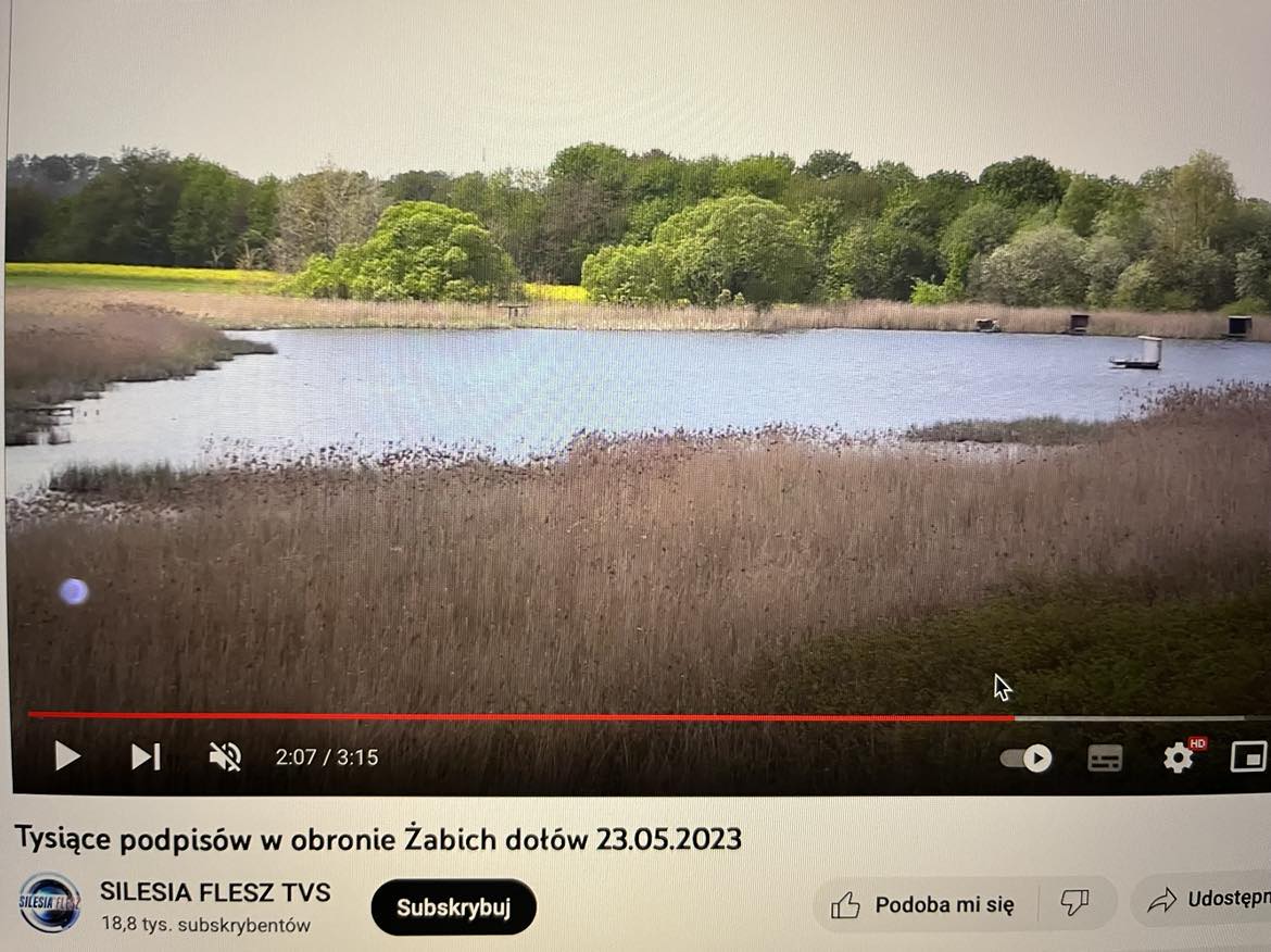 Żabie Doły rezerwatem?