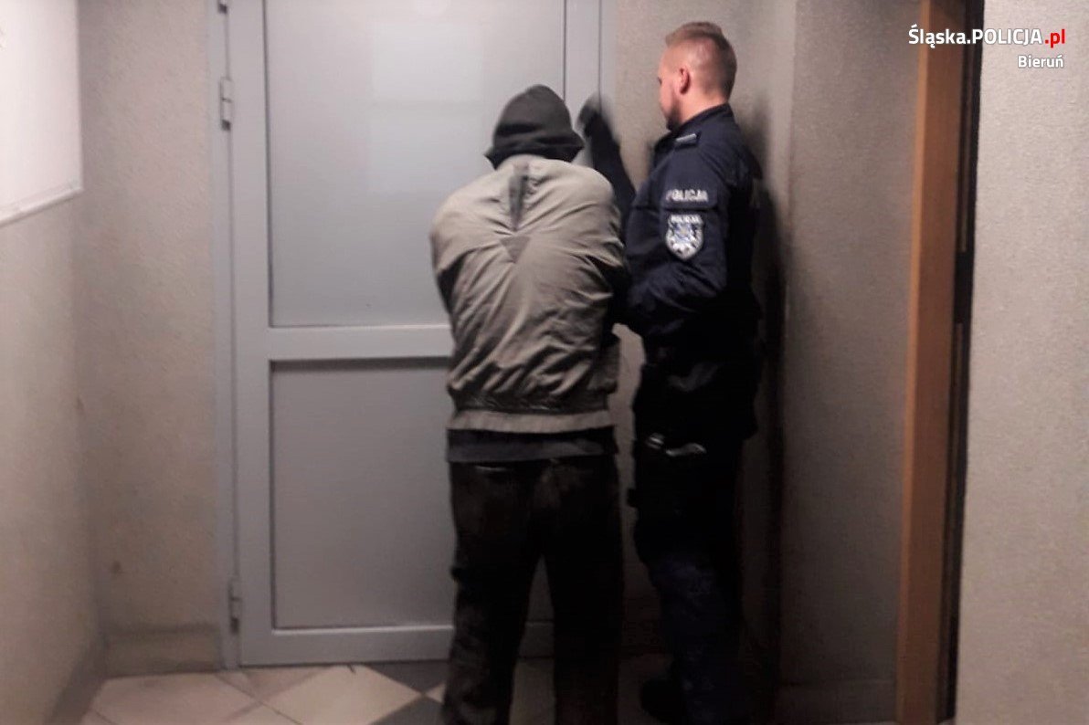 Bieruń: Zabił pięć szczeniaków/fot.KPP Bieruń