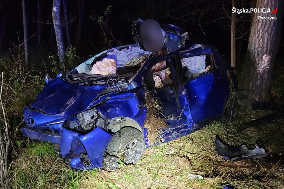 Zwierzęta na drogach. Wypadki z udziałem łosia i sarny na Śląsku. Fot. Śląska Policja