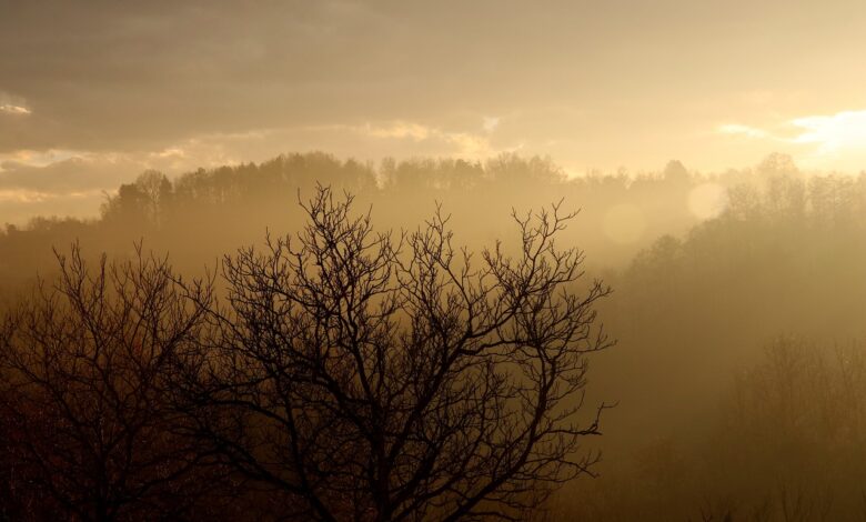 Smog: nawet jeden dzień spędzony w zanieczyszczonym powietrzu może być groźny dla zdrowia. Dramatycznie w Żywcu/fot.pixabay.com