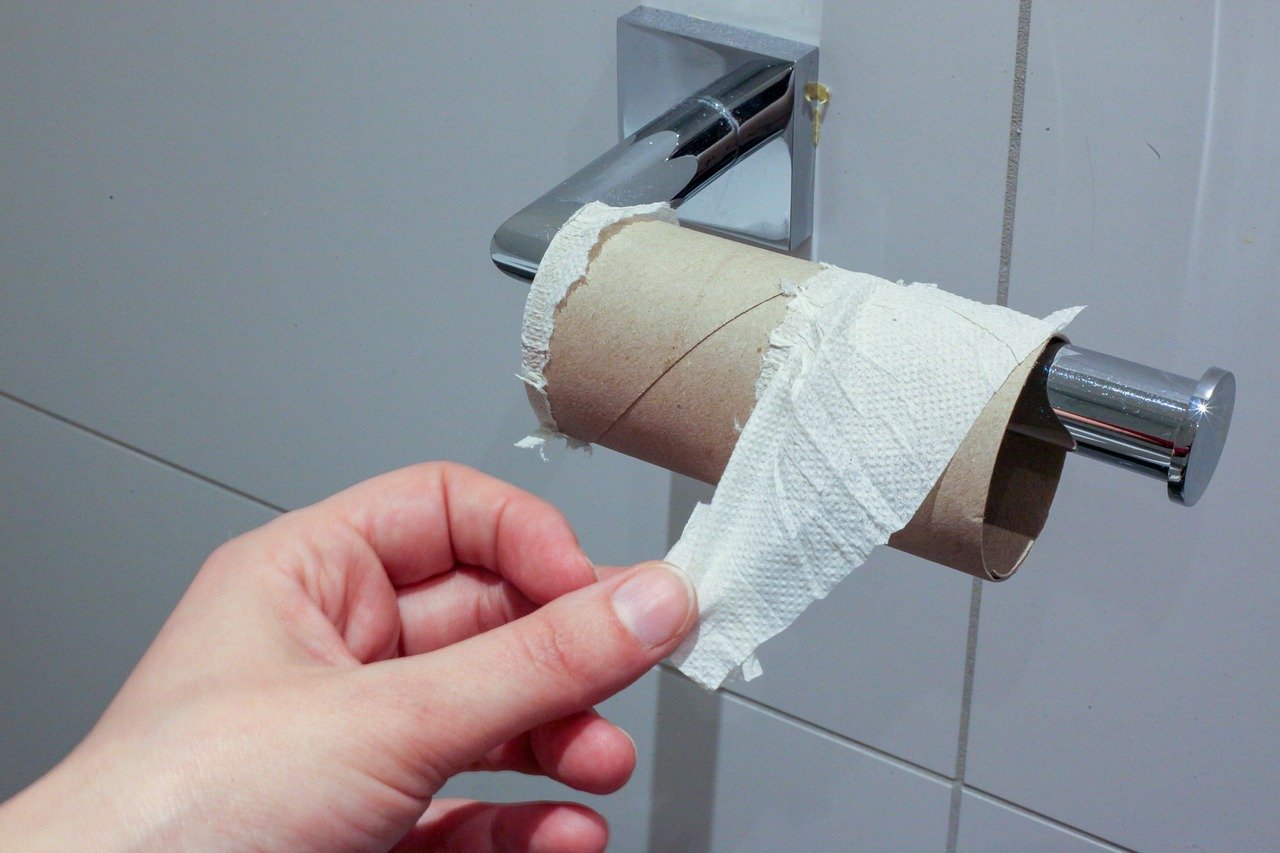Papier toaletowy towarem luksusowym. Będzie jeszcze droższy/fot.pixabay.com