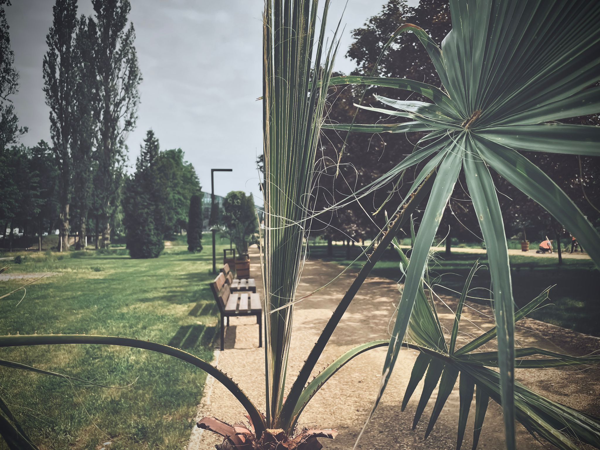 Sosnowiec ma ogród botaniczny/fot.UM Sosnowiec