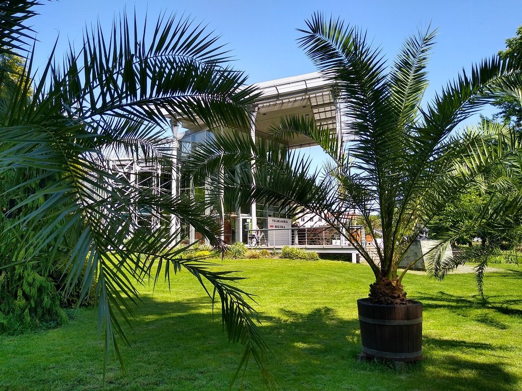 Gliwice: Palmiarnia zamknięta/fot.UM Gliwice