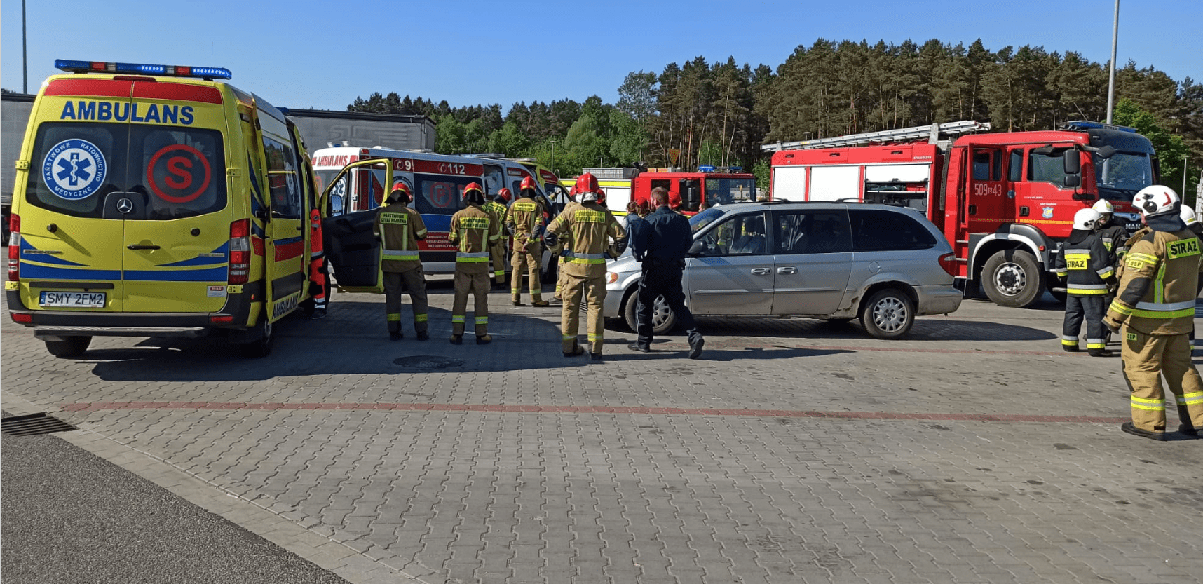 zatrucie w woźnikach