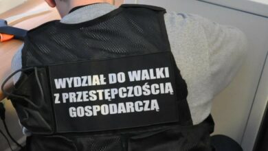 600 zarzutów dla mieszkańca Tychów. Oszukał Skarb Państwa na kilka milionów/fot.Śląska Policja