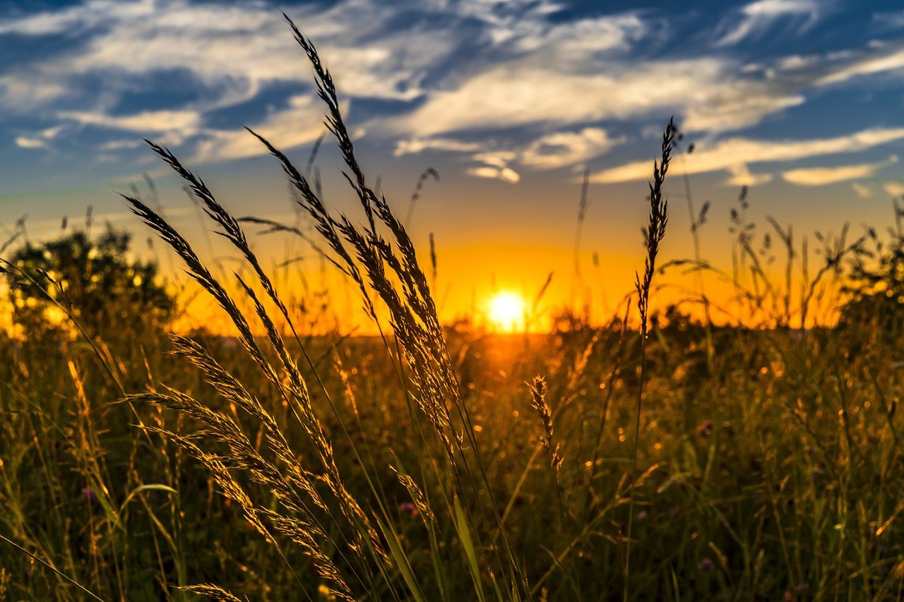 Żar będzie się lał z nieba. Prognoza pogody na najbliższe dni/fot.pixabay.com