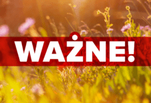 kąpielisko na trzech stawach czynne