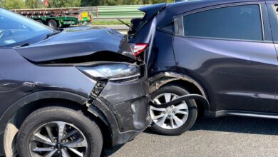 Wypadek na A4. Cofnął, później ugryzł innego kierowcę/fot.Policja Opolska