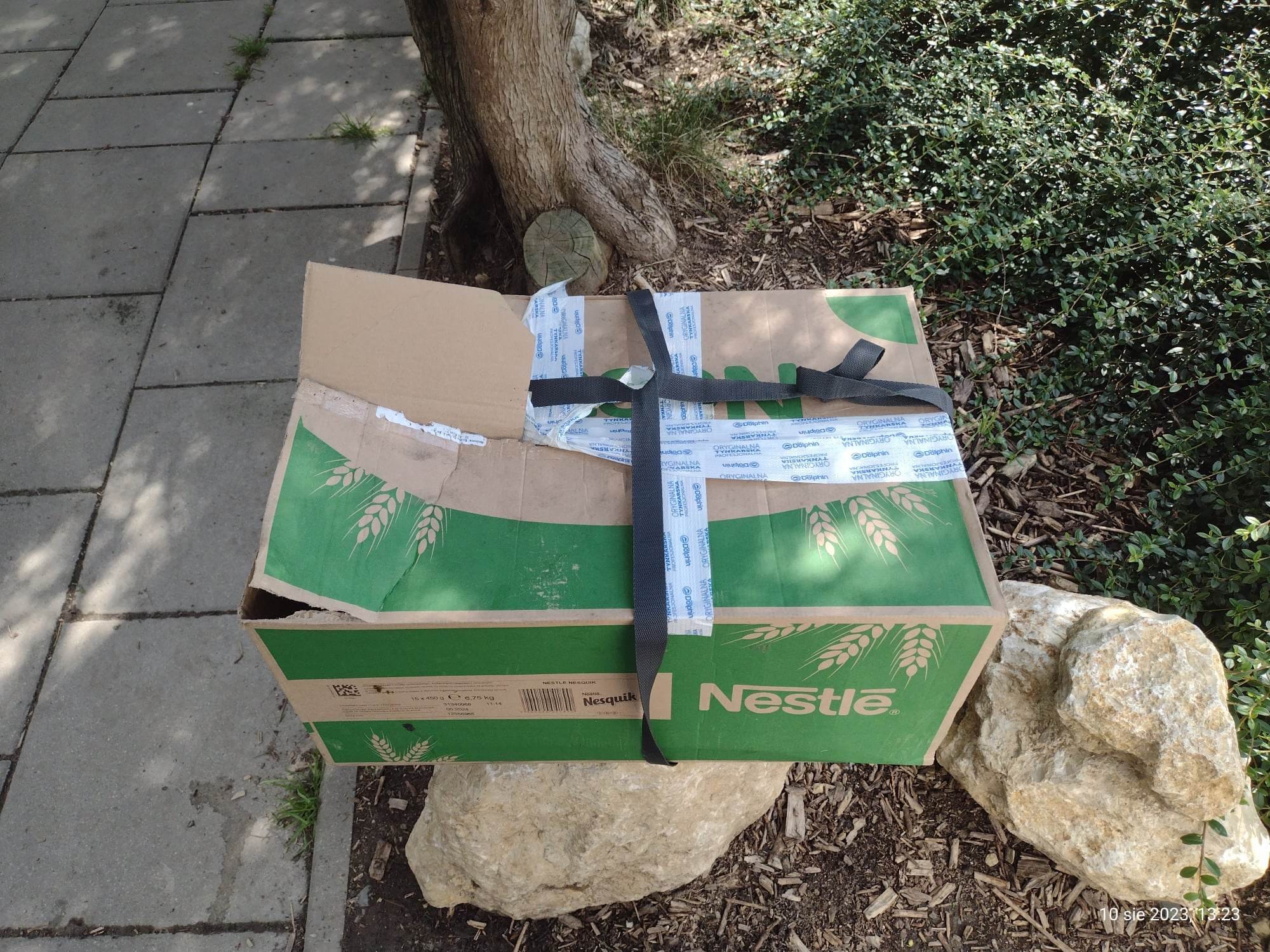 zucił 8 kociąt do... okna życia. Fot. KTOZ Schronisko dla Bezdomnych Zwierząt w Krakowie