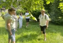 Srebrne Katowice: seniorzy poznają tajemnice roślin