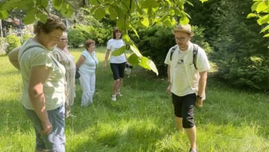 Srebrne Katowice: seniorzy poznają tajemnice roślin