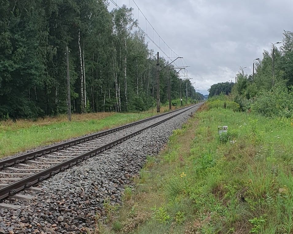 Katowice: Niebezpieczny spacer po torach/fot.Śląska Policja