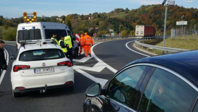 25 imigrantów chciało wjechać do Polski. Zostali zatrzymani. Fot. Policja Śląska