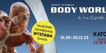 Tę wystawę chce zobaczyć każdy. Body Worlds w Katowicach/fot.szybwilson.org