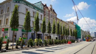 Katowice: Zieleń wchodzi do miasta/fot.UM Katowice