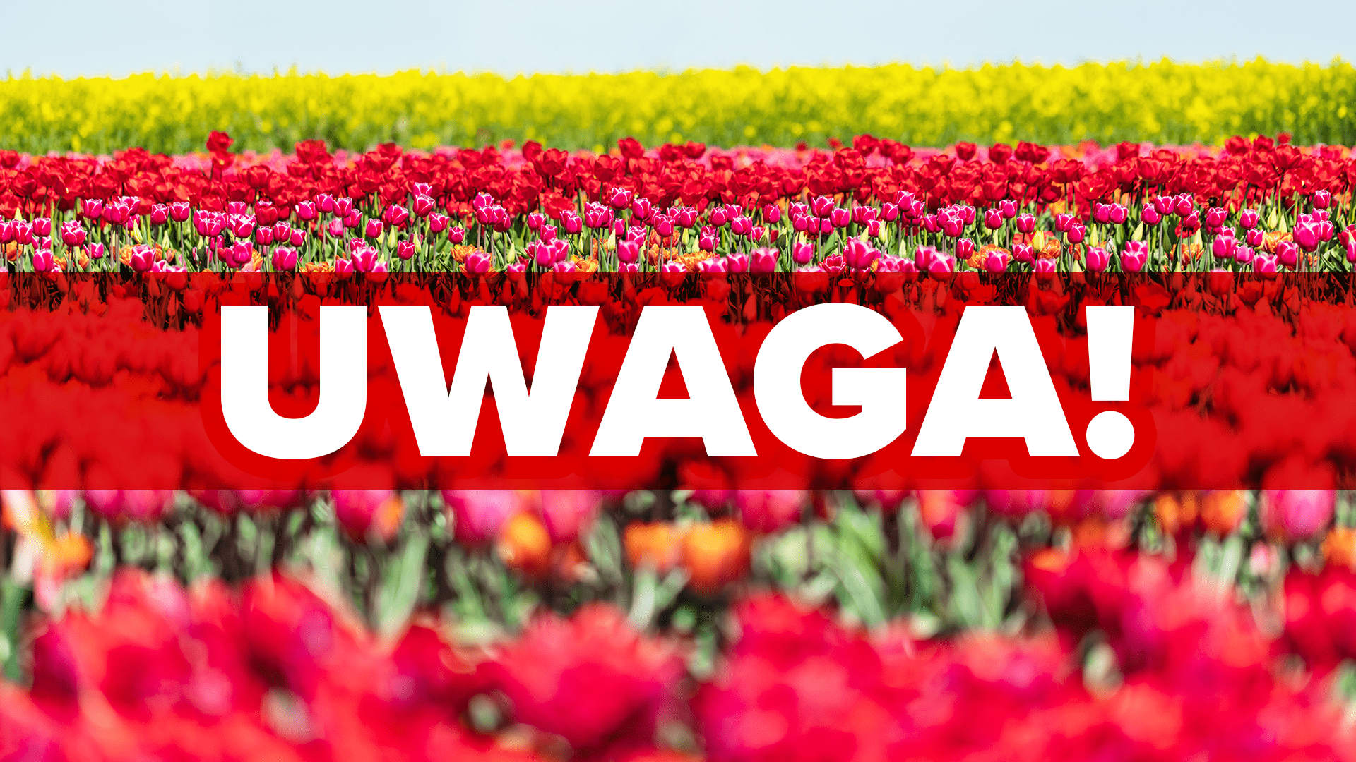 program moja woda 2023