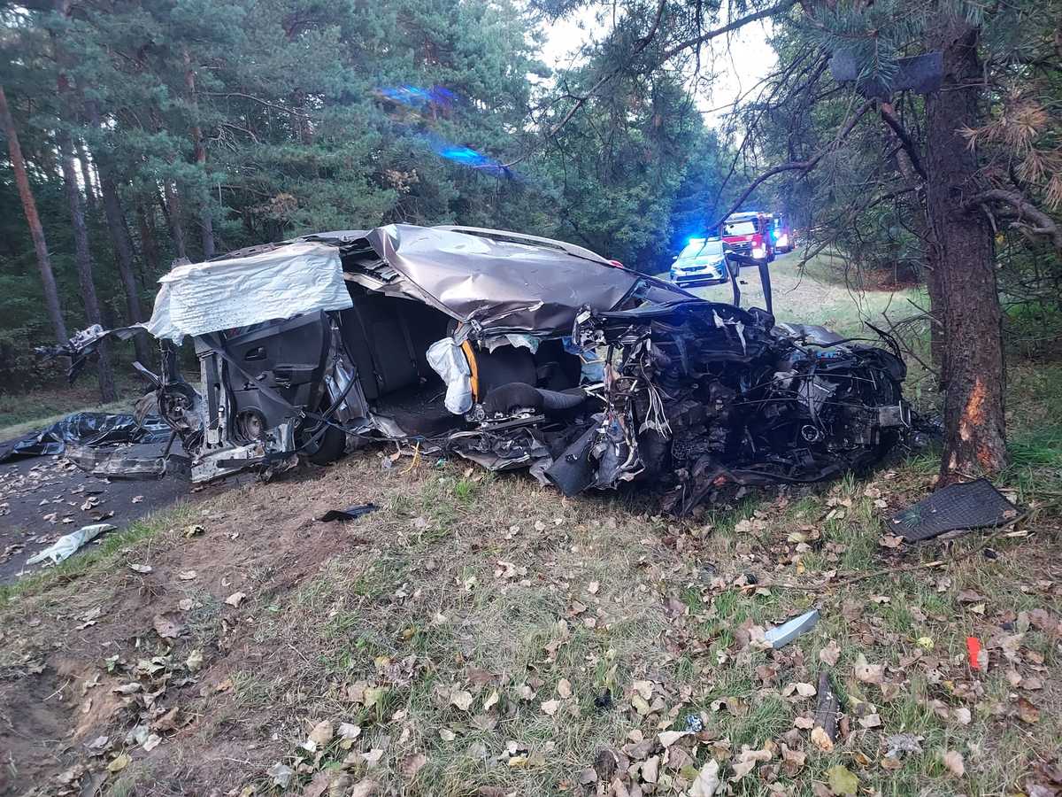 20-latek uderzył w drzewo. Nie żyje/fot.Policja Łódzka