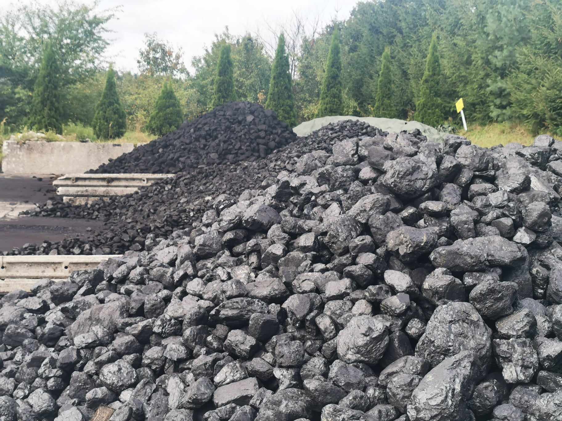 nowe zasady w sklepie pgg węgiel