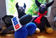 dzień beboków 2023