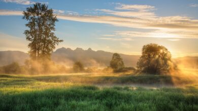 Kolejne dni chłodniejsze. Prognoza pogody/fot.pixabay.com