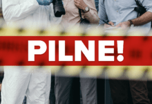 strzelanina w celinach