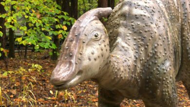 Sosnowiec: Dinozaury w Parku Kuronia