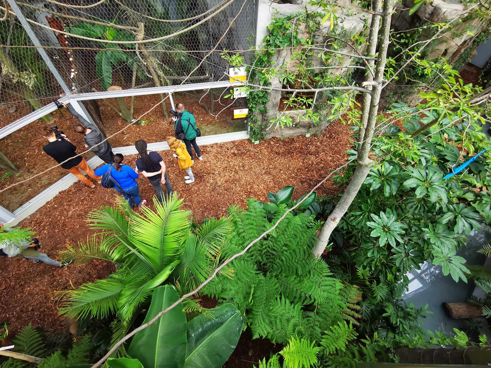 zoo w chorzowie Pawilon lasów deszczowych Ameryki Południowej