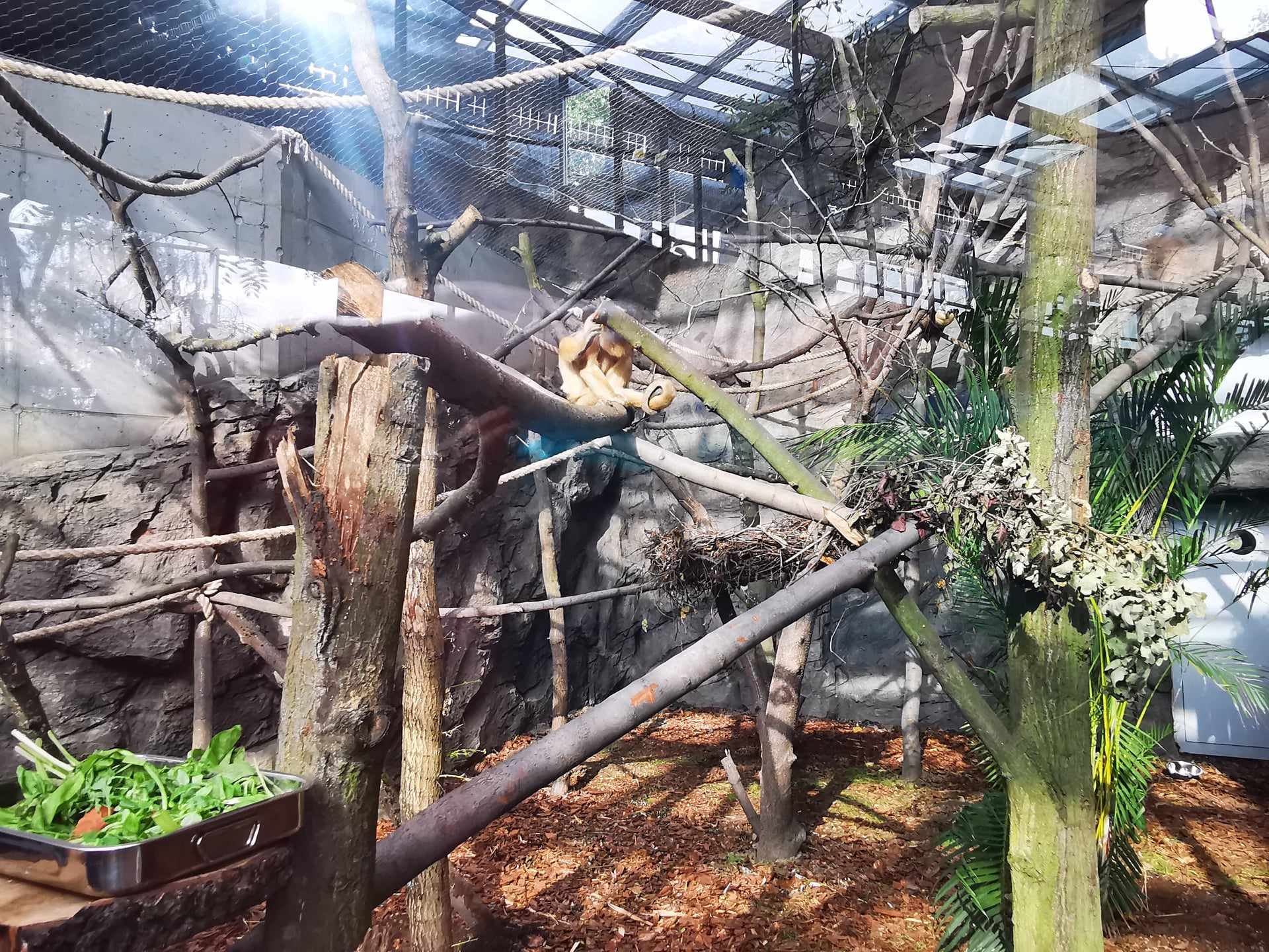 Pawilon lasów deszczowych Ameryki Południowej zoo w chorzowie