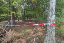 Fot. Policja Mikołów