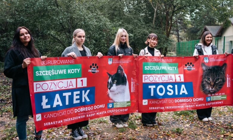 Częstochowa: Ruszyła kampania "Przedłużamy wybory". Kandydatami psy i koty/fot.UM Częstochowa