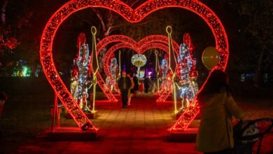 W Zabrzu otwarto Park Miliona Świateł. Zobaczcie zdjęcia. Fot. UM Zabrze