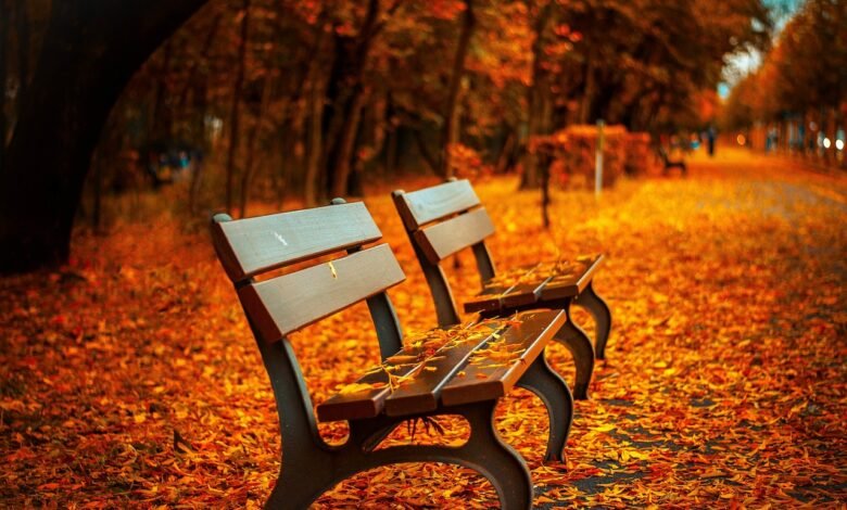 Przed nami typowo jesienna pogoda/fot.pixabay.com