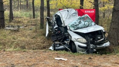 19-latka uderzyła w drzewo. Nie żyje/fot.Policja Podkarpacka