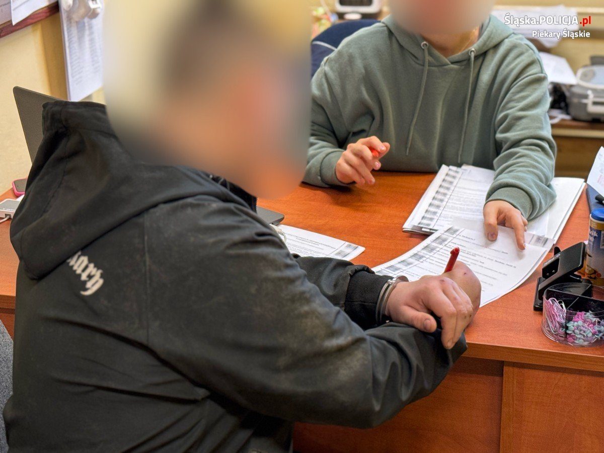 Bracia pobili 17-latka. Później pluli na policjanta. Fot. Policja Śląska