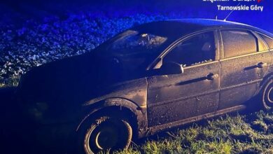 Uciekał przed policją. W aucie miał narkotyki. Fot. Policja Śląska