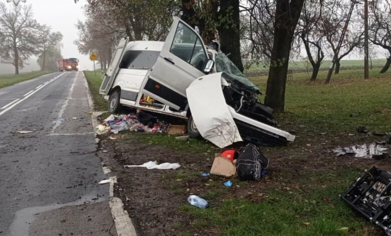 Tragedia na drodze. Nie żyją dwie kobiety i dziecko /fot.Policja Lubelska