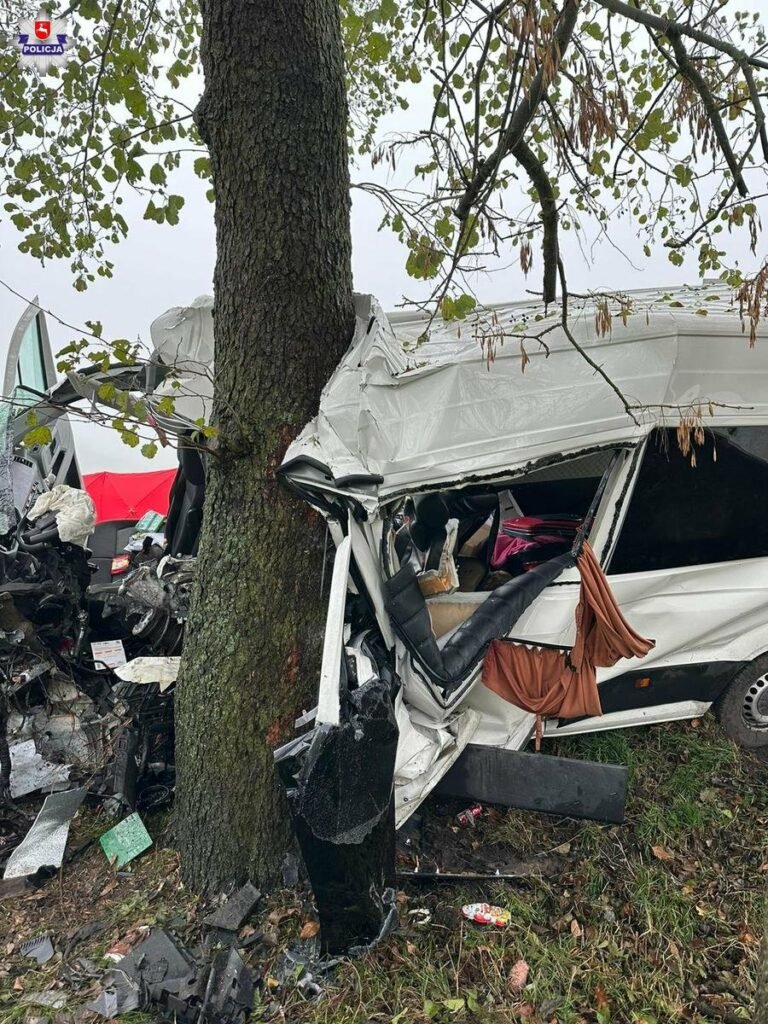 Tragedia na drodze. Nie żyją dwie kobiety i dziecko /fot.Policja Lubelska