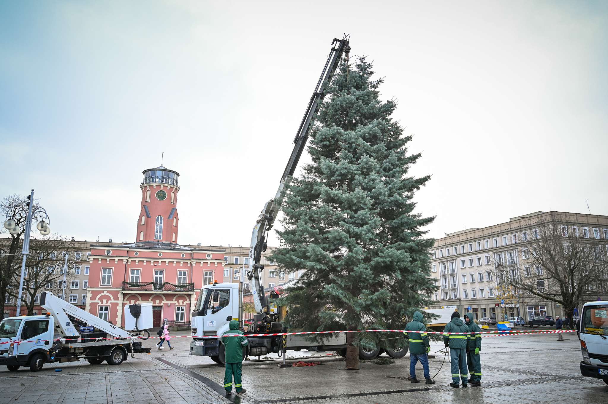 W Częstochowie stanęła choinka. Rozbłyśnie 1 grudnia. Fot. UM Częstochowa