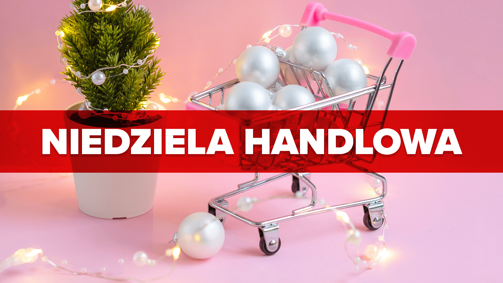 niedziela handlowa 10 grudnia lidl