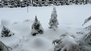 Siarczysty mróz na południu Polski/fot.Skarżyńska