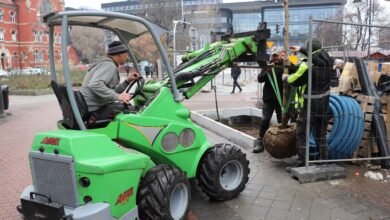 Katowice: Wymiana kasztanowców na Stawowej. Te nie spełniają wymogów/fot.UM Katowice