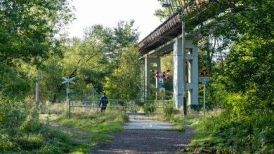 Katowice: Zbudują velostradę. Ta połączy Giszowiec z Brynowem/fot.UM Katowice