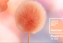 Kolor roku 2024 Peach Fuzz Pantone