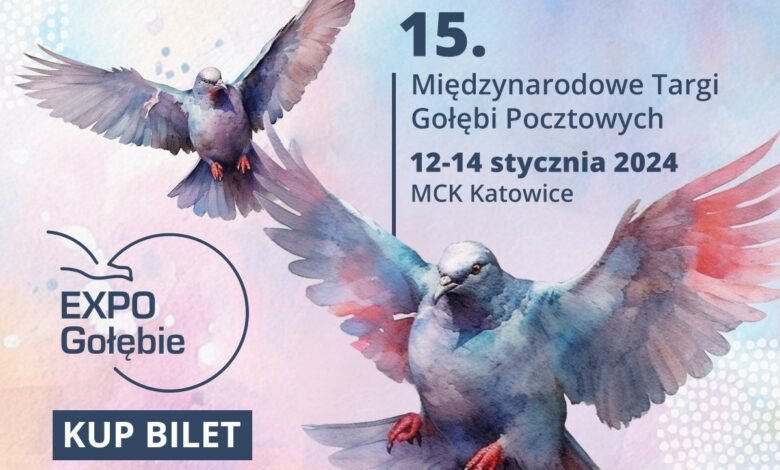 Katowice: W MCK zagoszczą gołębie/fot.mat.prasowe