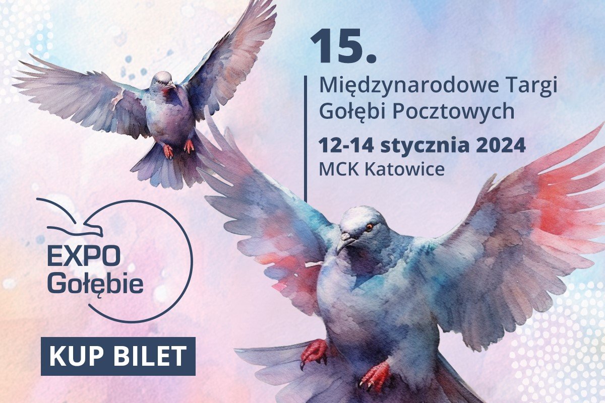 Katowice: W MCK zagoszczą gołębie/fot.mat.prasowe
