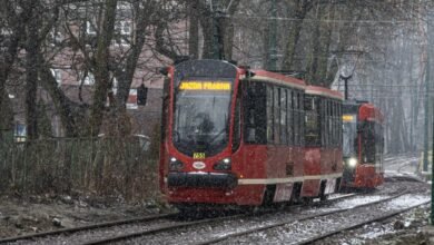 Do Bytomia wracają linie tramwajowe 19 i 49. Fot. UM Bytom